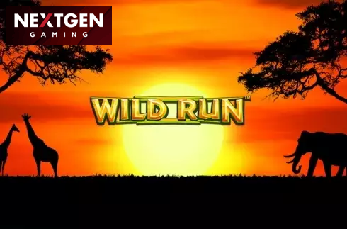 Wild Run